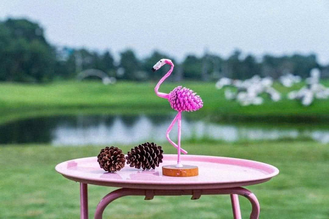 Pink Castle tại Flamingo Đại Lải Resort